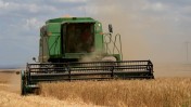 קציר חיטים באמצעות קומביין באחד משדות הנגב, שלשום (צילום: יוסי זליגר)