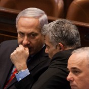 תקציב 2013
